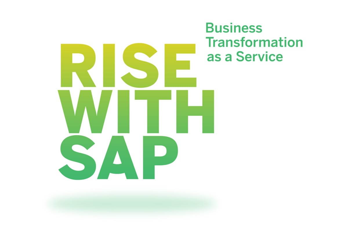 rise-with-sap-integrateur-distributeur-solutions-sap-erp-crm